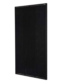 momo panelen